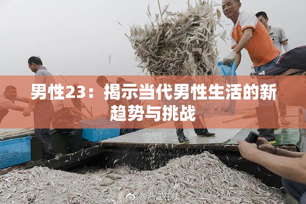 男性23：揭示当代男性生活的新趋势与挑战