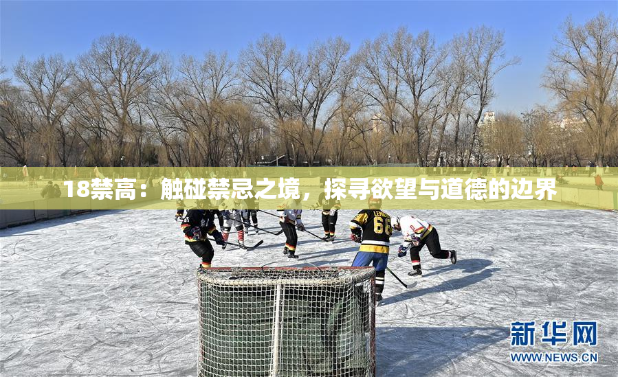 18禁高：触碰禁忌之境，探寻欲望与道德的边界
