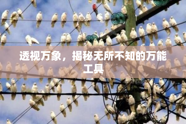 透视万象，揭秘无所不知的万能工具