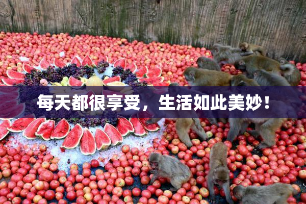 每天都很享受，生活如此美妙！