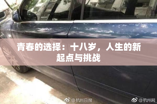 青春的选择：十八岁，人生的新起点与挑战