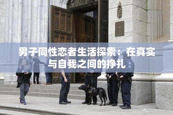 男子同性恋者生活探索：在真实与自我之间的挣扎