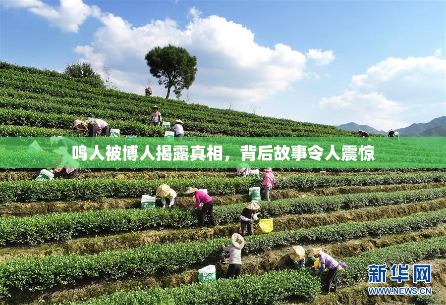 鸣人被博人揭露真相，背后故事令人震惊