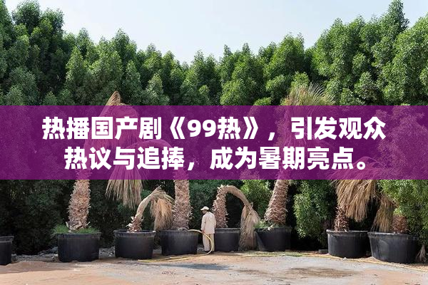 热播国产剧《99热》，引发观众热议与追捧，成为暑期亮点。