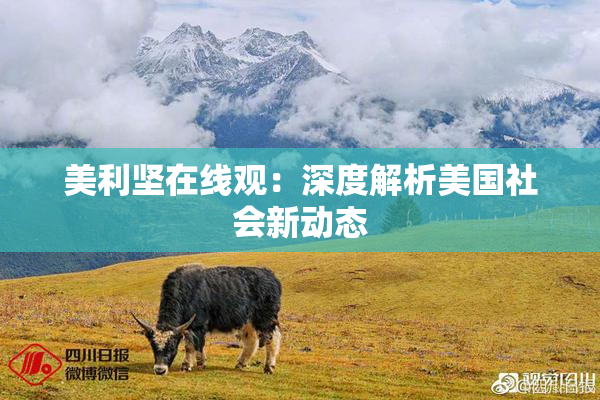 美利坚在线观：深度解析美国社会新动态