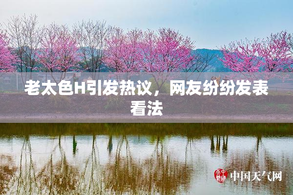 老太色H引发热议，网友纷纷发表看法