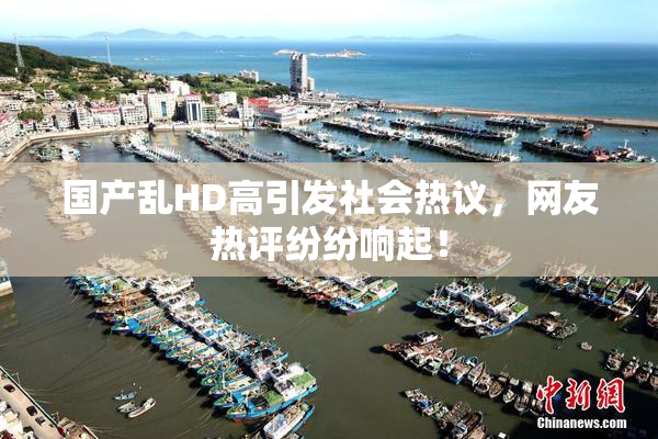 国产乱HD高引发社会热议，网友热评纷纷响起！