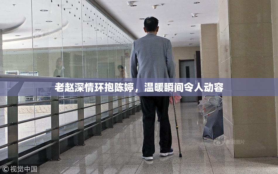 老赵深情环抱陈婷，温暖瞬间令人动容