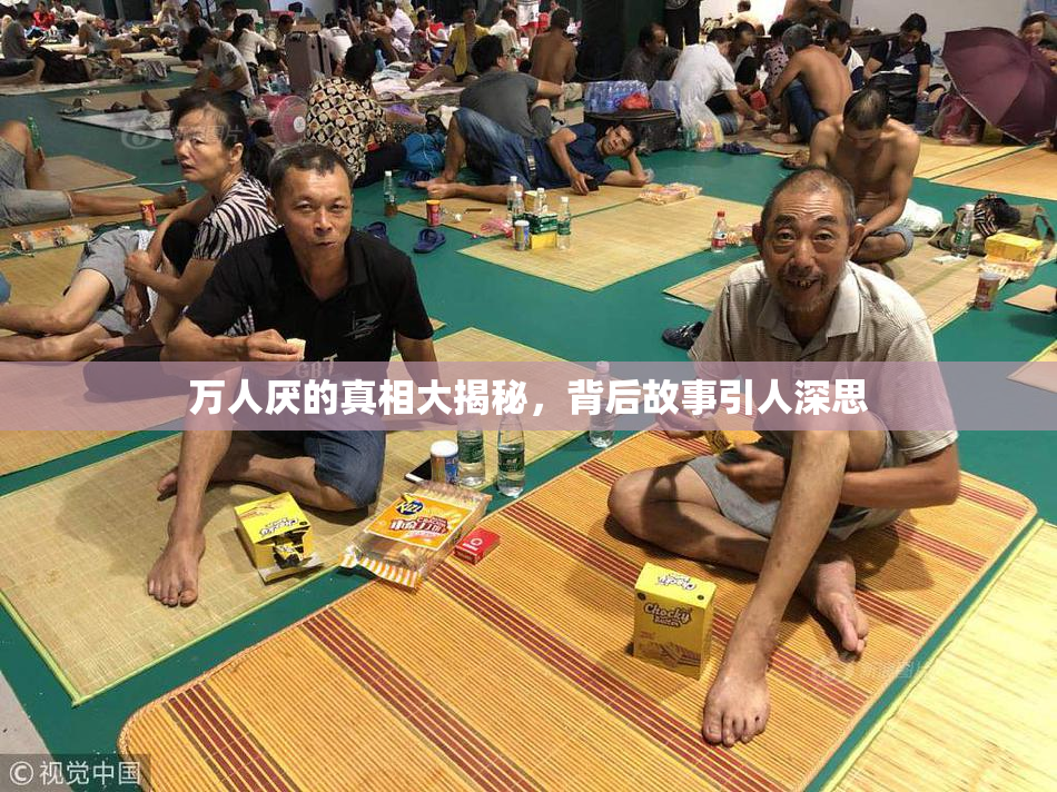 万人厌的真相大揭秘，背后故事引人深思