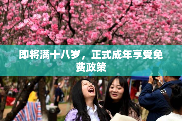 即将满十八岁，正式成年享受免费政策