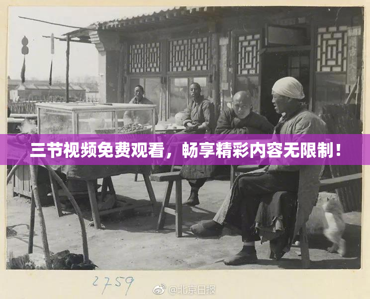三节视频免费观看，畅享精彩内容无限制！