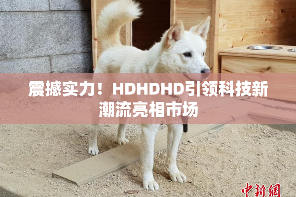 震撼实力！HDHDHD引领科技新潮流亮相市场