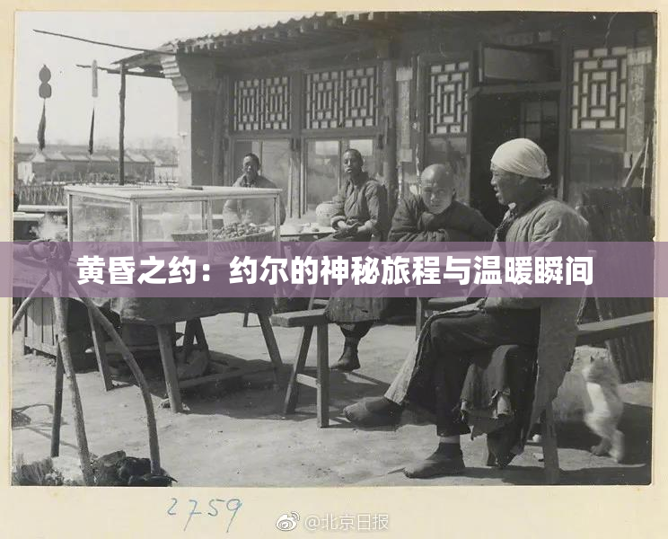 黄昏之约：约尔的神秘旅程与温暖瞬间