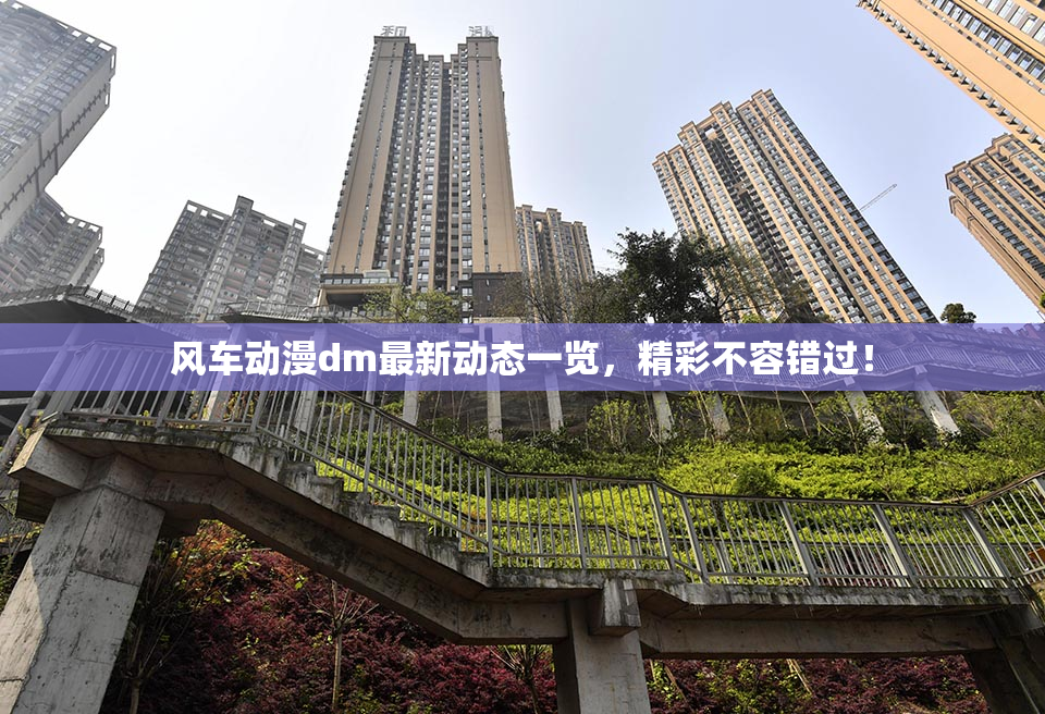 风车动漫dm最新动态一览，精彩不容错过！