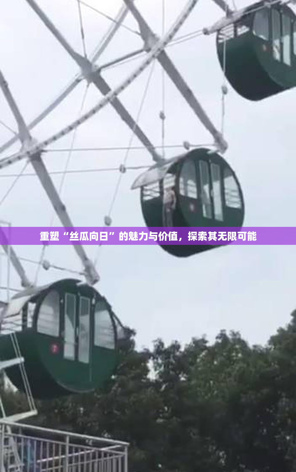 重塑“丝瓜向日”的魅力与价值，探索其无限可能
