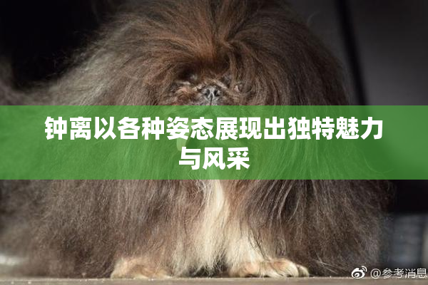 钟离以各种姿态展现出独特魅力与风采