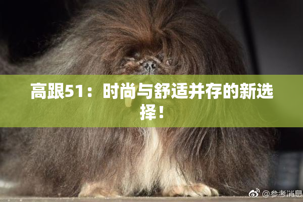 高跟51：时尚与舒适并存的新选择！