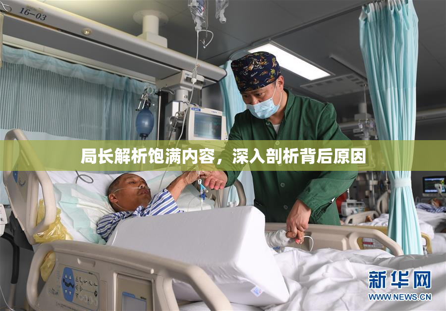 局长解析饱满内容，深入剖析背后原因