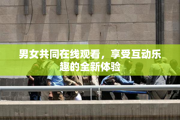 男女共同在线观看，享受互动乐趣的全新体验