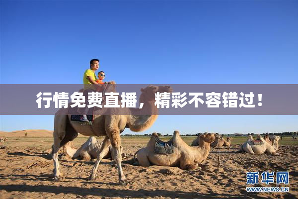 行情免费直播，精彩不容错过！