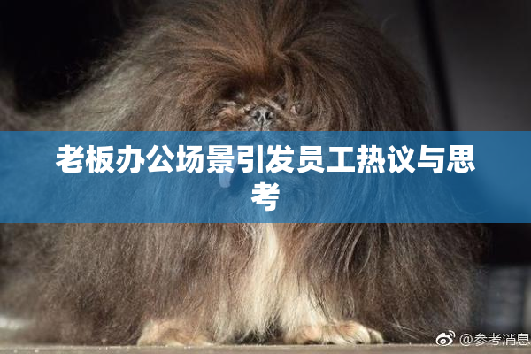 老板办公场景引发员工热议与思考