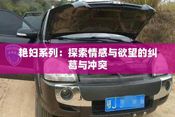 艳妇系列：探索情感与欲望的纠葛与冲突