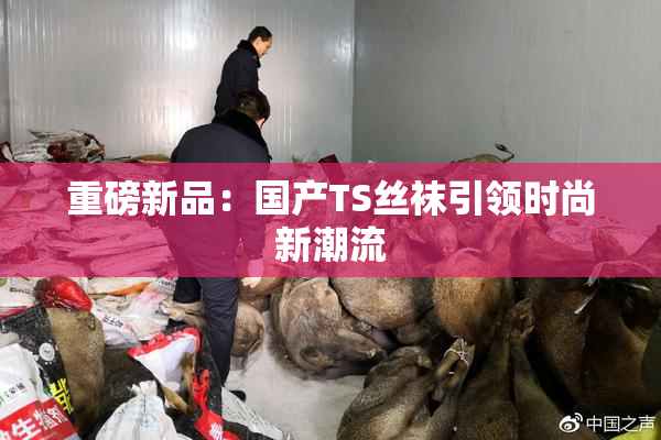 重磅新品：国产TS丝袜引领时尚新潮流