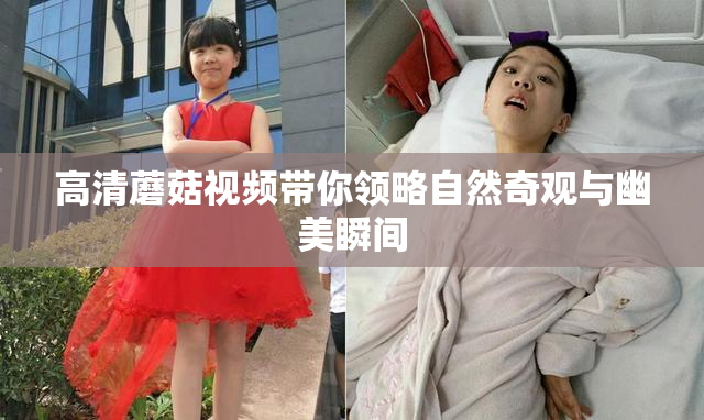 高清蘑菇视频带你领略自然奇观与幽美瞬间