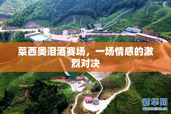 菜西奥泪洒赛场，一场情感的激烈对决