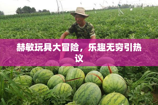 赫敏玩具大冒险，乐趣无穷引热议