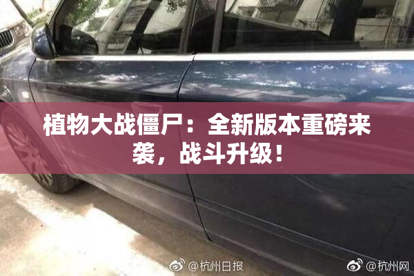 植物大战僵尸：全新版本重磅来袭，战斗升级！