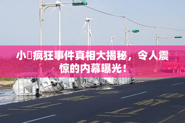 小泬疯狂事件真相大揭秘，令人震惊的内幕曝光！