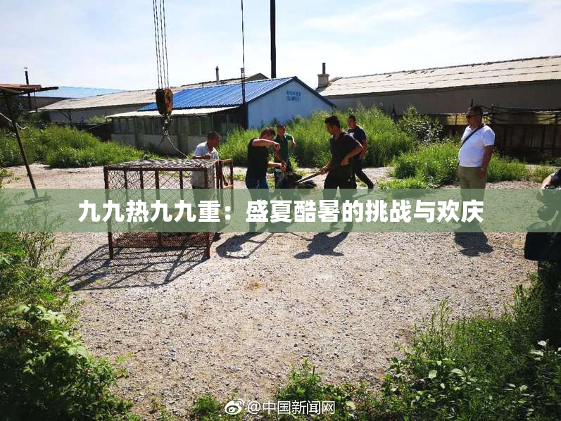 九九热九九重：盛夏酷暑的挑战与欢庆