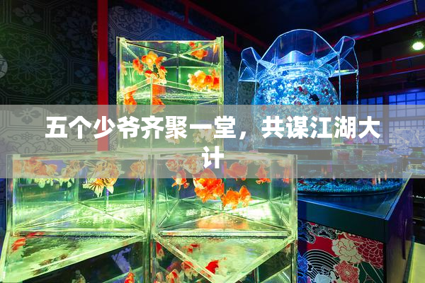 五个少爷齐聚一堂，共谋江湖大计