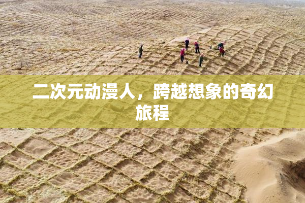 二次元动漫人，跨越想象的奇幻旅程
