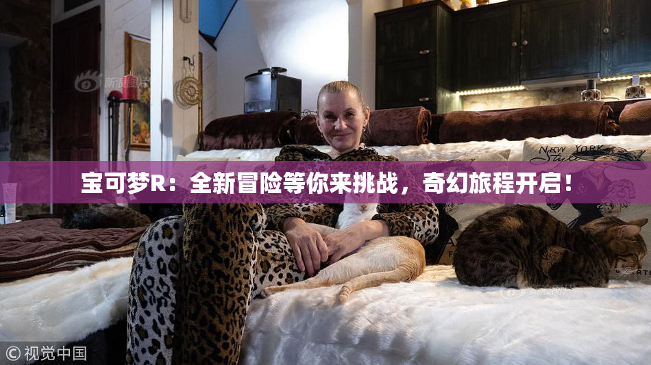 宝可梦R：全新冒险等你来挑战，奇幻旅程开启！