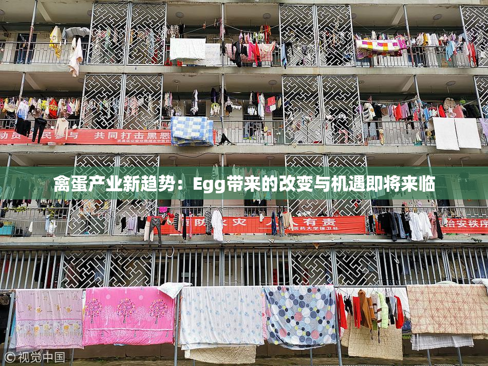 禽蛋产业新趋势：Egg带来的改变与机遇即将来临