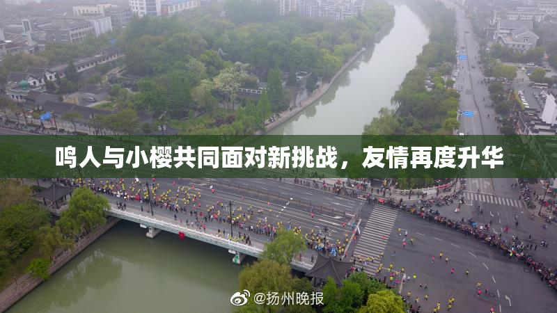 鸣人与小樱共同面对新挑战，友情再度升华