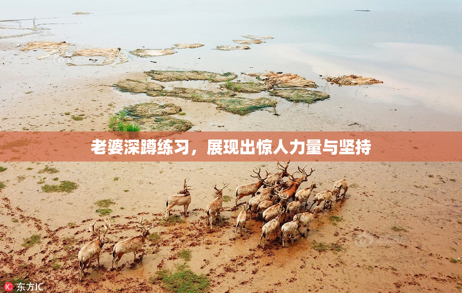 老婆深蹲练习，展现出惊人力量与坚持