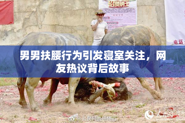 男男扶腰行为引发寝室关注，网友热议背后故事