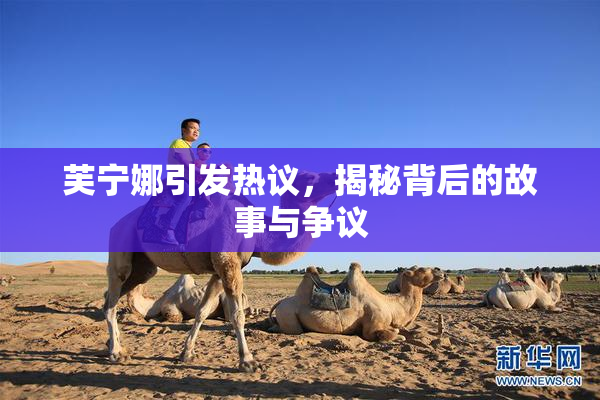 芙宁娜引发热议，揭秘背后的故事与争议