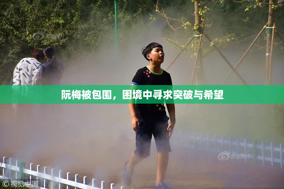 阮梅被包围，困境中寻求突破与希望