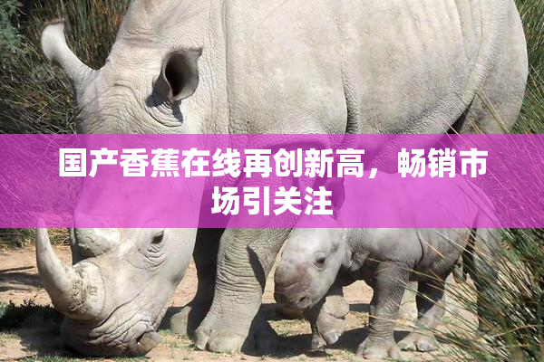 国产香蕉在线再创新高，畅销市场引关注
