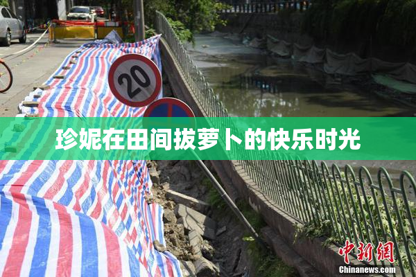 珍妮在田间拔萝卜的快乐时光