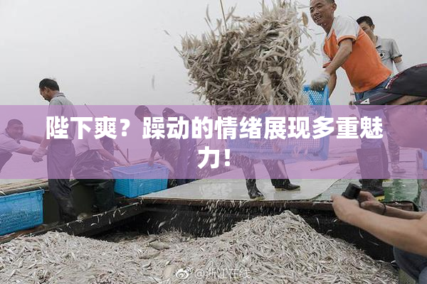 陛下爽？躁动的情绪展现多重魅力！