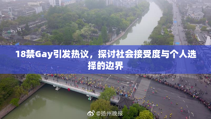 18禁Gay引发热议，探讨社会接受度与个人选择的边界