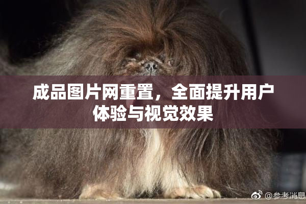 成品图片网重置，全面提升用户体验与视觉效果