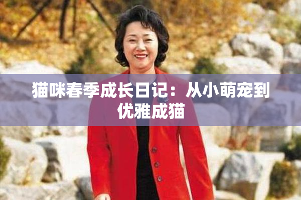 猫咪春季成长日记：从小萌宠到优雅成猫