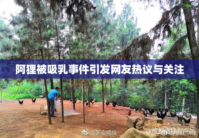 阿狸被吸乳事件引发网友热议与关注