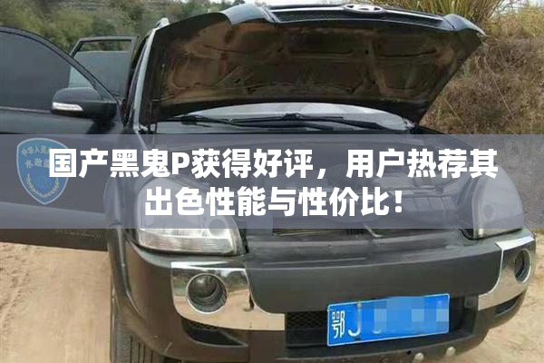 国产黑鬼P获得好评，用户热荐其出色性能与性价比！